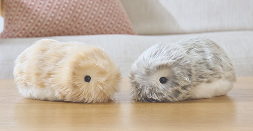 モフリン