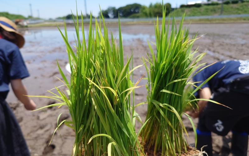 「一反パートナー」を通じた社会課題解決支援